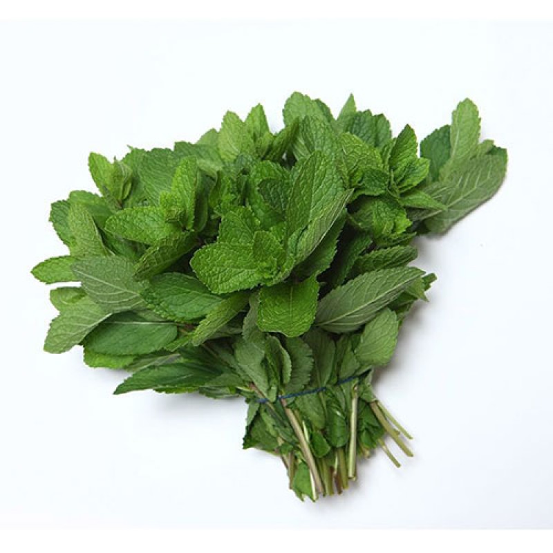 Βιολογικός Δυόσμος ματσάκι Συσ/νος 60gr Πελοποννήσου