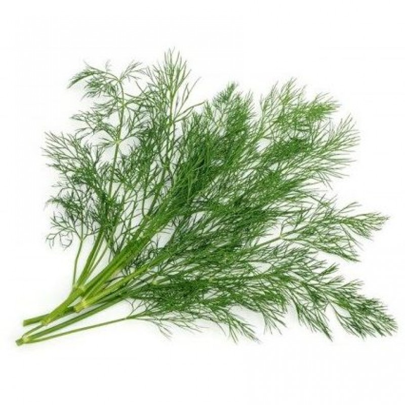 Βιολογικός Άνηθος ματσάκι Συσ/νος