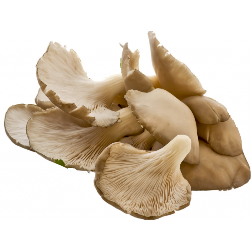 Βιολογικά Μανιτάρια πλευρώτους Πιερίας Συσ/να 400-450gr