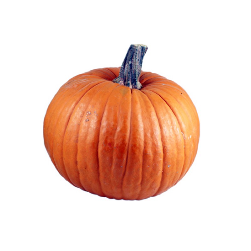 Βιολογική κολοκύθα Hokkaido Πέλλης 1kg