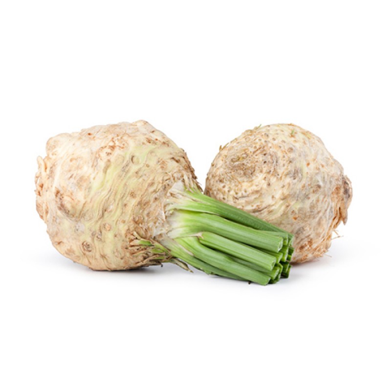 Βιολογική Σελινόριζα Πέλλης