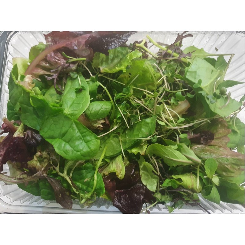 Βιολογική Ανοιξιάτικη σαλάτα microgreens (Spring Mix) 180-220gr