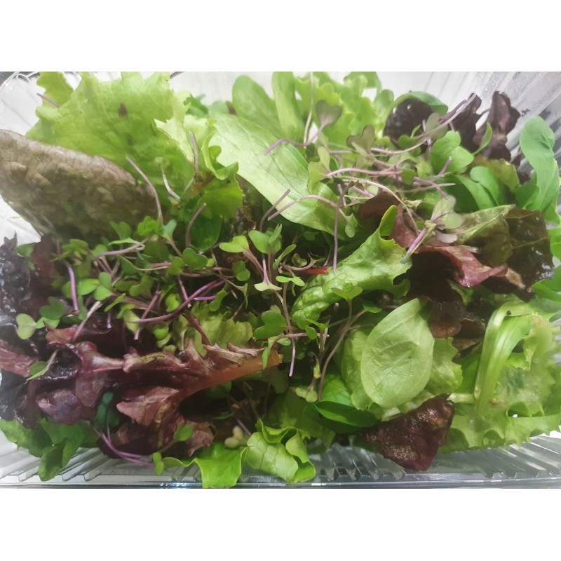 Βιολογική σαλάτα Ουράνιο τόξο microgreens (Rainbow Mix) 180-200gr