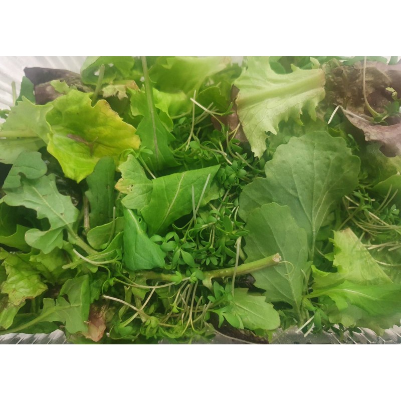 Βιολογική Ασιατική σαλάτα microgreens (Asian Mix) 180-200gr
