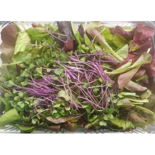Βιολογική Κόκκινη σαλάτα microgreens (Red Salad) 180-200gr