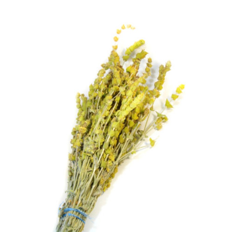 Βιολογικό Τσάι Βουνού Καστοριάς 35gr