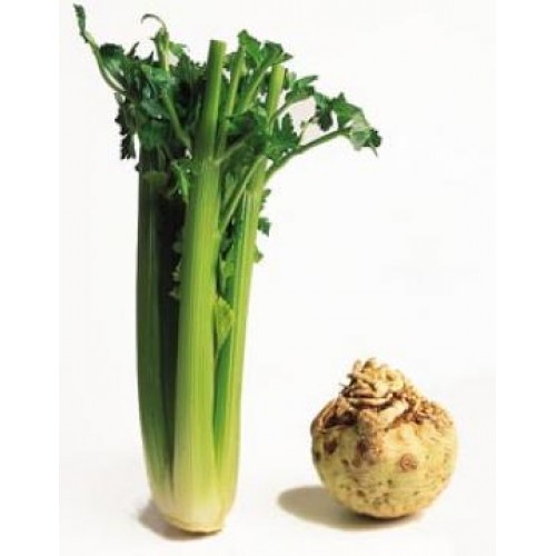 Βιολογικό Σέλερι κορμός τεμαχιο