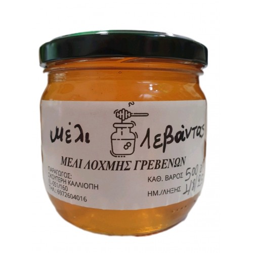 Μελι Λεβάντας Γρεβενών (από παραγωγό) 500gr 