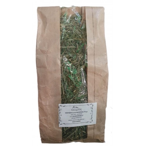 Εκουιζετο 70gr Όλυμπος