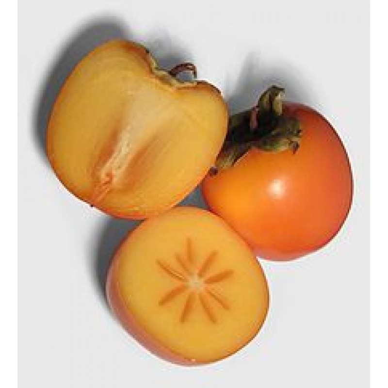 Βιολογικοί Λωτοί Πέλλης Συσ/νοι 1kg