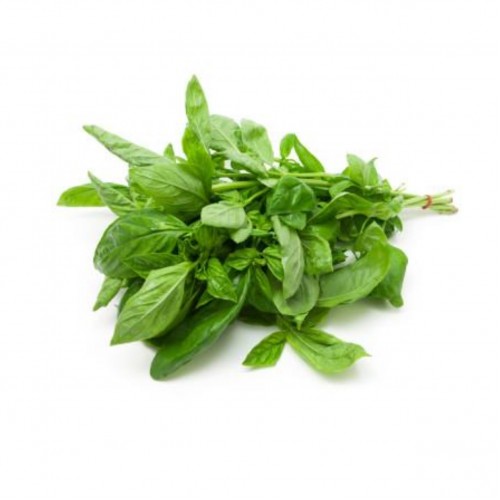 Βιολογικός Βασιλικός Πελοποννήσου ματσάκι 70gr