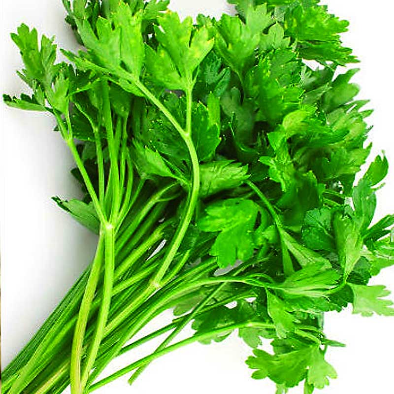 Βιολογικό Σέλινο Ελληνικό ματσάκι Συσ/νο 